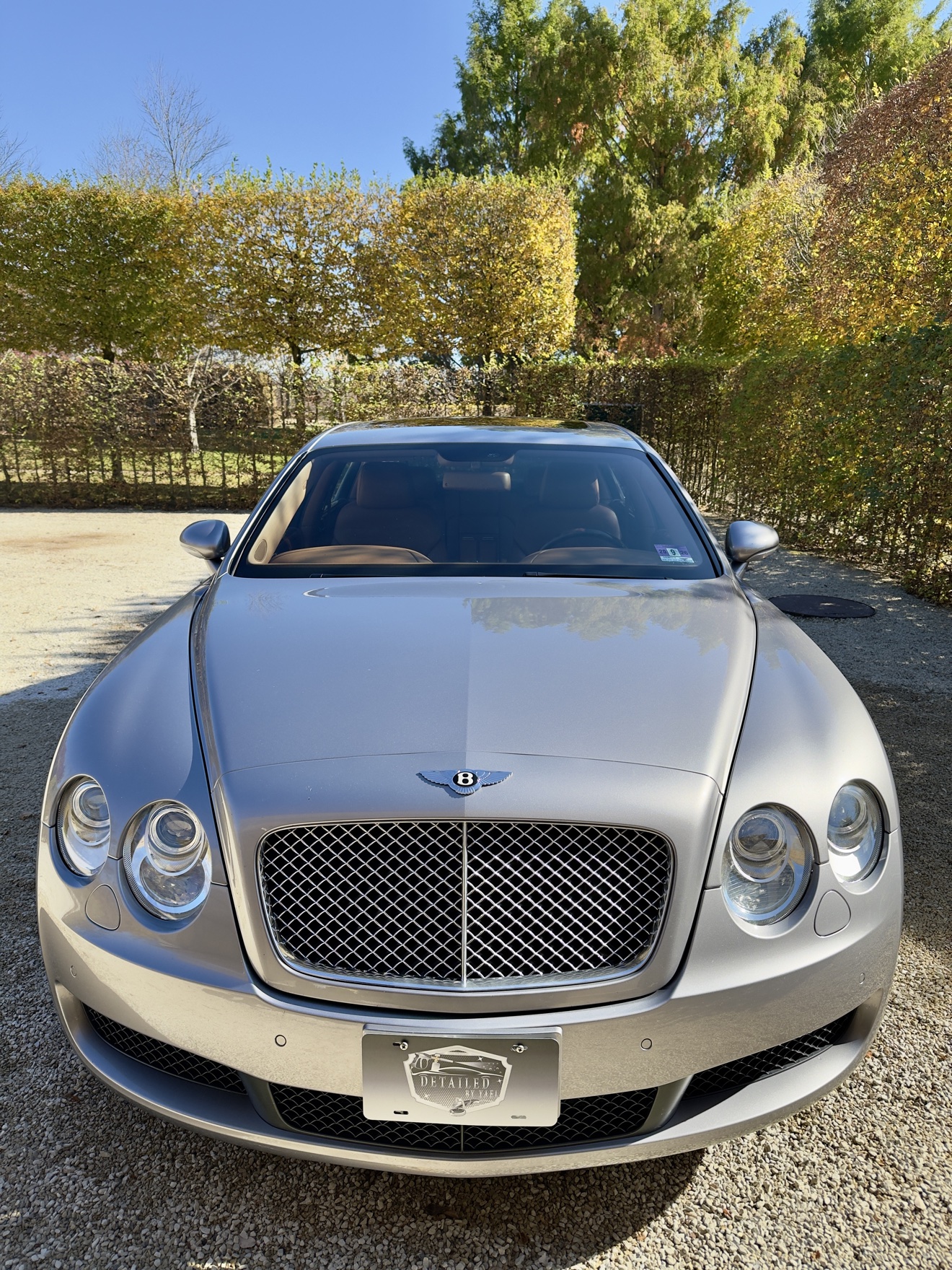 Silver Bentley Continental front view with mesh grille and Detailed by Yael plate frame