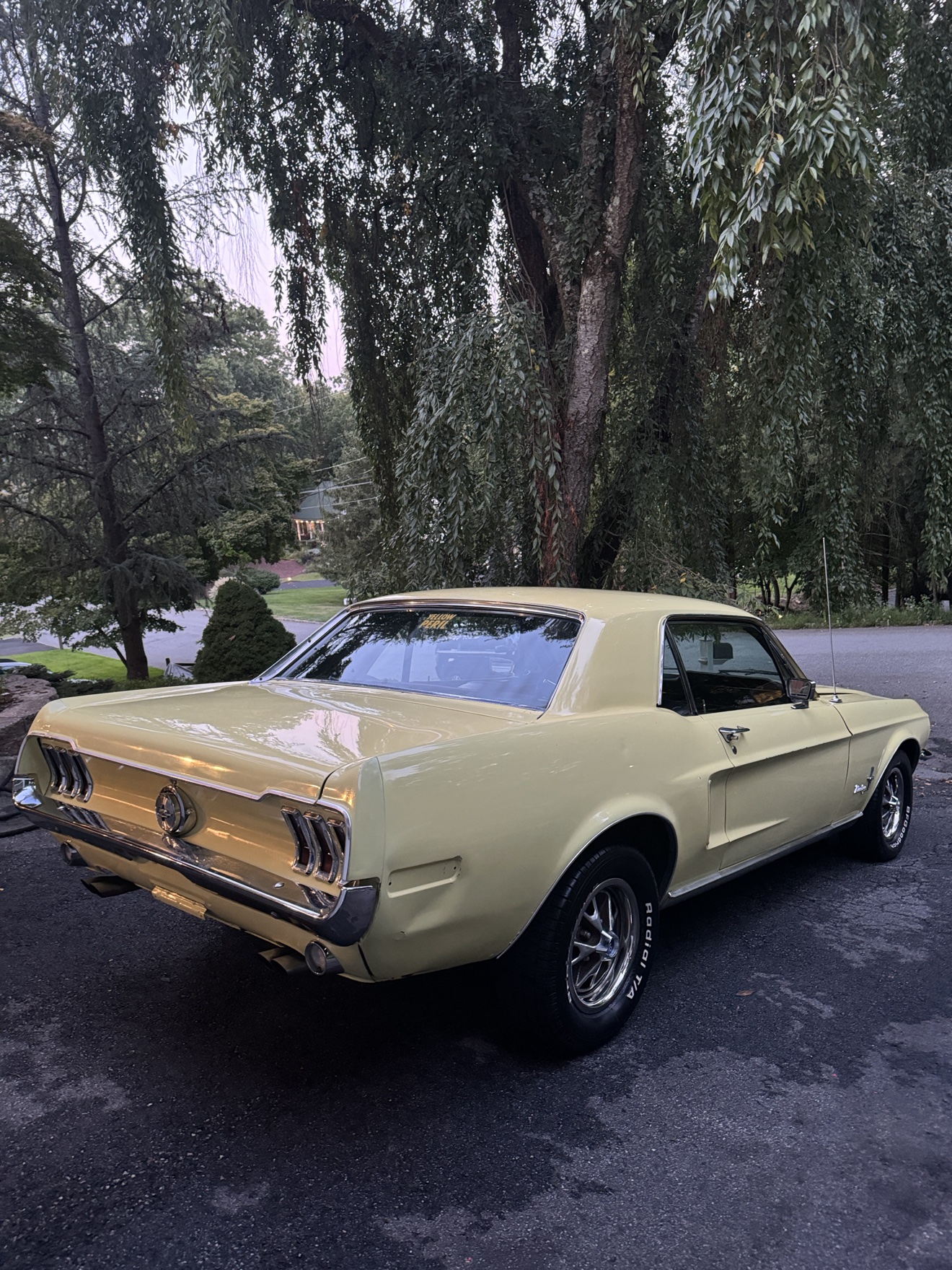 Pale yellow 1968 Ford Mustang rear three-quarter view under willow trees